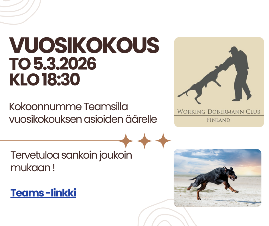 WDC VUOSIKOKOUS 2026