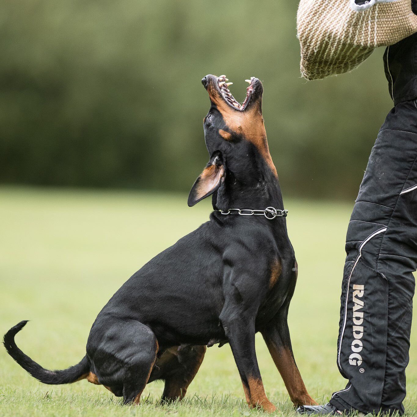 123776ab-6231-4008-9ae8-61e2a19fee92 123776ab-6231-4008-9ae8-61e2a19fee92