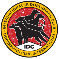 logo_idc_uusi